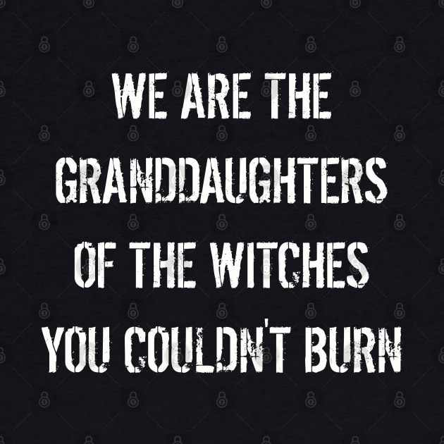 We are The Granddaughters of The Witches You Couldn't Burn by StilleSkyggerArt